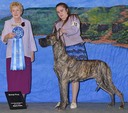 yourphoto__dsc1169.jpg