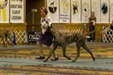 CD_13771_136627_t191lewellen_m0220934