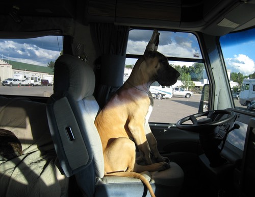 Gus wants to drive the RV