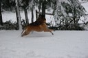 IMG_1775.JPG