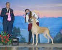 IMG_2656