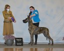 IMG_2818