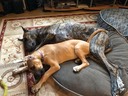 IMG_7594.jpeg