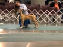 IMG_7722.jpeg