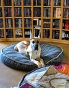 IMG_7760.jpeg