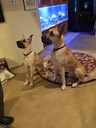 IMG_8090.jpeg