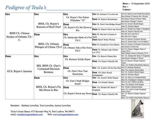 Jasmine first liter 5gen pedigree form