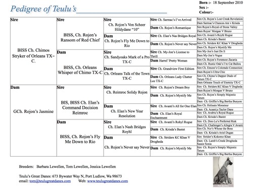 Jasmine first liter 5gen pedigree form