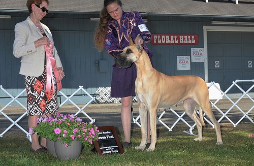 Nala owner handler group 1