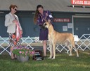 Nala owner handler group 1