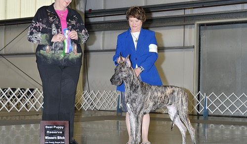 Lily first show feb 2013