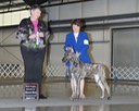 Lily first show feb 2013