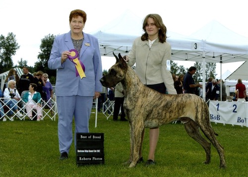Titanite takes a BOB with owner/handler Jessica
