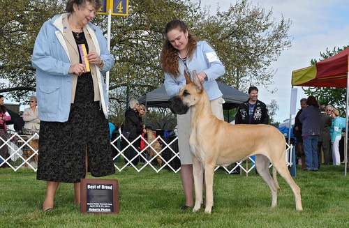 Nala Walla Walla show 1 2014