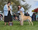 Nala Walla Walla show 1 2014