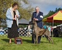 Kovu Walla Walla show 1 2014